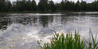 Сосново: Отель Рауту