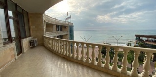Сочи: Отель Dolphin Resort by Stellar
