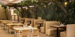 Адлер: Отель Альмира By Orion Hotels