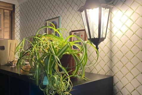 Тюмень: Хостел Green City