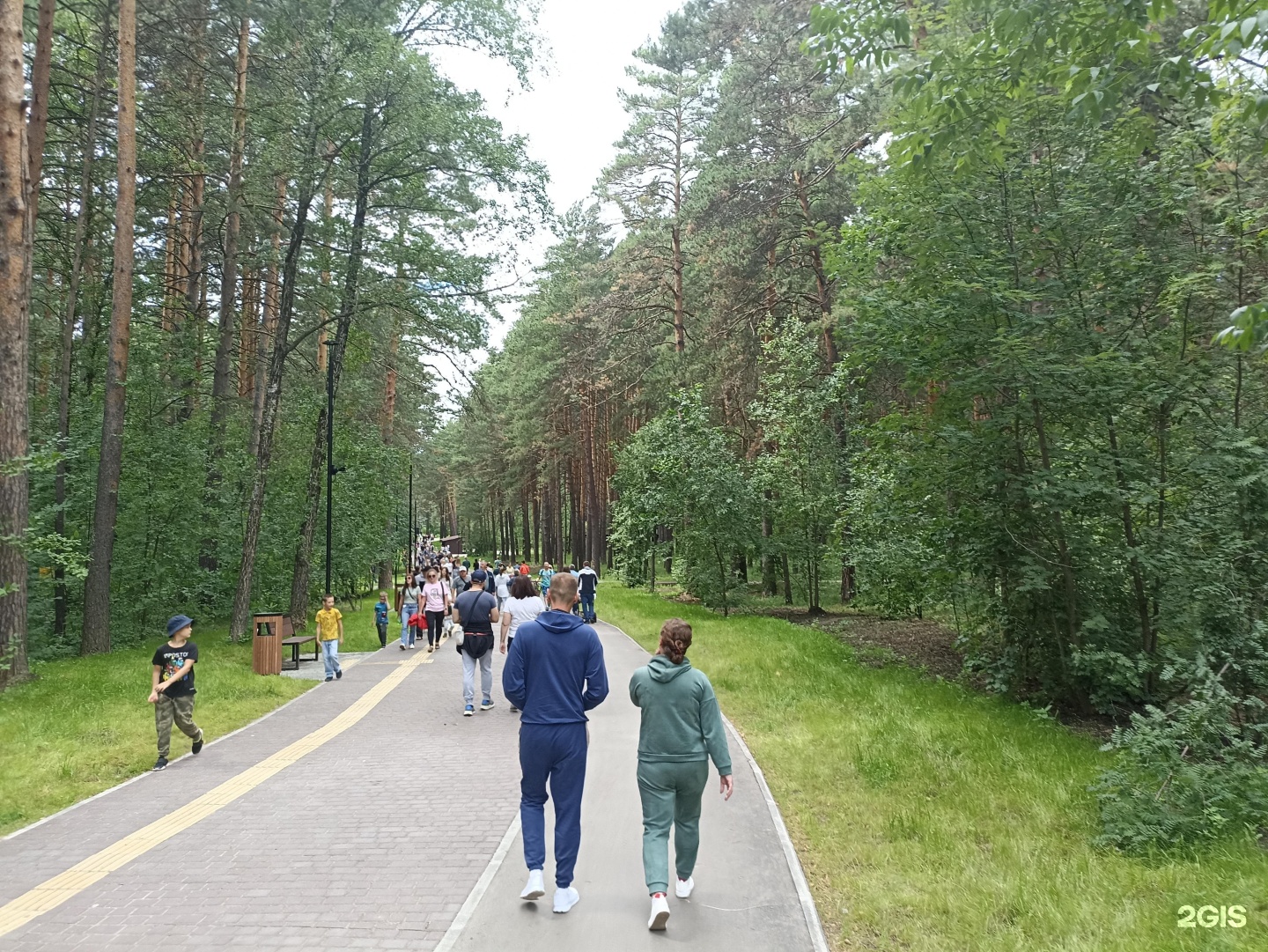 заельцовский парк в новосибирске