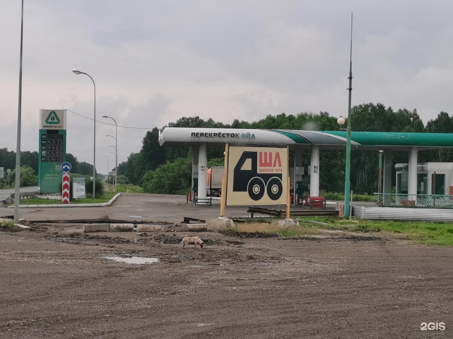 пицца ойл владивосток фото 63