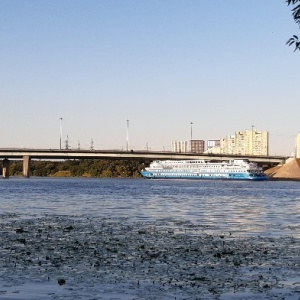 Фото от владельца Северное Тушино, музейно-парковый комплекс