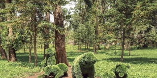 Владивосток: Гостевой дом Амурский Залив