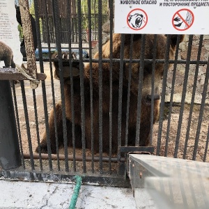 Фото от владельца Роев ручей, парк флоры и фауны