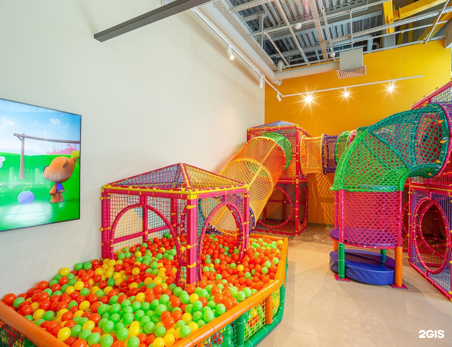 тимьян блошницевидный 'aureus. чабрец тимьян обыкновенный. чабрец клоповый— thymus cimicinus. чабрец тимьян богородская трава. тимьян ползучий (thymus serpyllum).