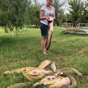 Фото от владельца Fish Club, рыболовный центр