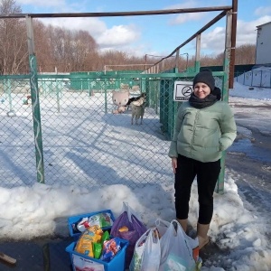 Фото от владельца Московский образовательный комплекс им. В. Талалихина с дошкольным отделением