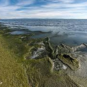 Фото от владельца Центр качества, ООО, сертификационно-методическая компания