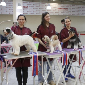 Фото от владельца PARADOGs, сеть зоосалонов