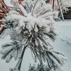 Фото от владельца Аркуда, баня на дровах