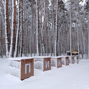 Фото от владельца Пикник, парк