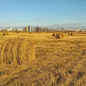 Фото от владельца Аргус, студия