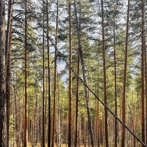 Фото от владельца Снежок, база отдыха