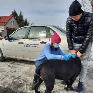 Фото от владельца Ветеринарная лечебница Авиастроительного района