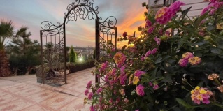 Адлер: Отель Papaya park hotel