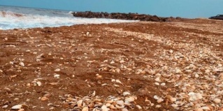 Инчхе: Коттедж Ямал