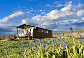 Турбаза Chuchemlya eco village в Новгородской области