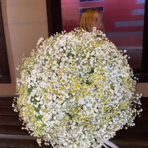 Фото от владельца Лейка, салон цветов