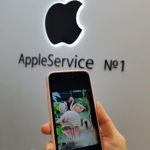 Фото от владельца AppleService №1, постгарантийный сервисный центр