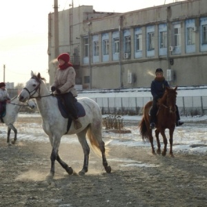 Фото от владельца Росипподромы, ОАО, Благовещенское региональное управление