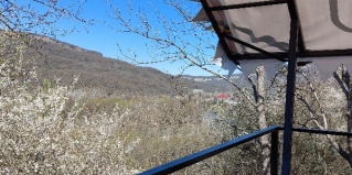 Даховская: Гостевой дом Надо в горы