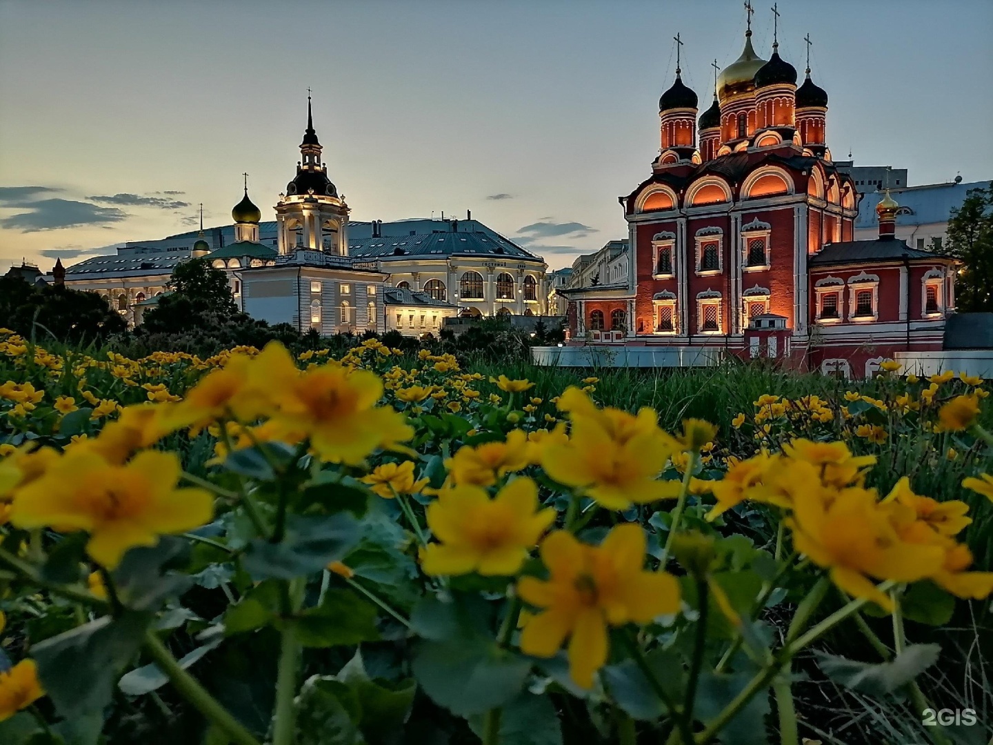 100 лучших фотографий