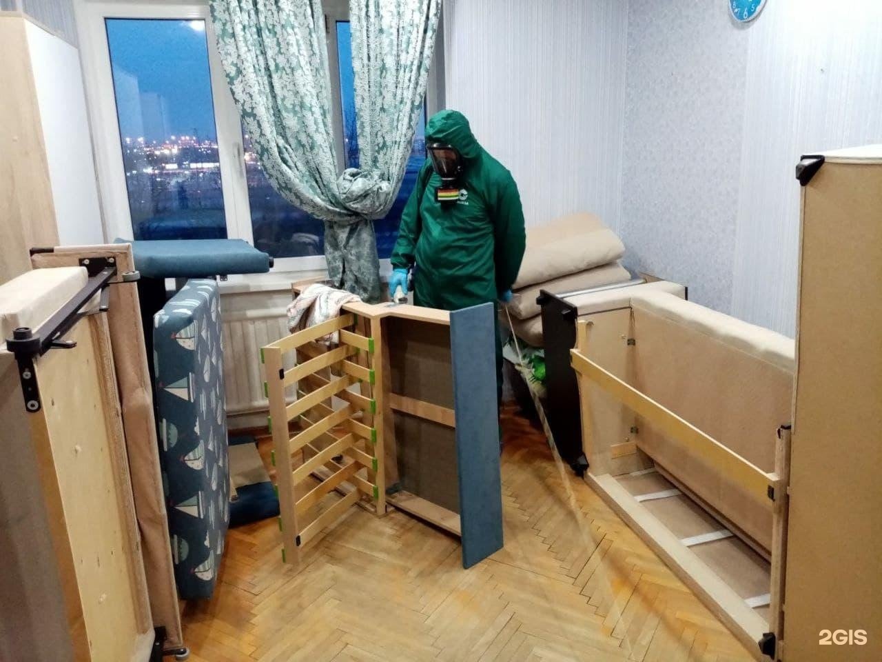 Клопы в спб