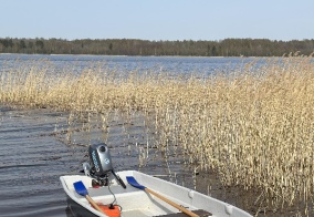 Турбаза Дача у озера в Ленинградской области