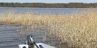 Удальцово: Турбаза Дача у озера