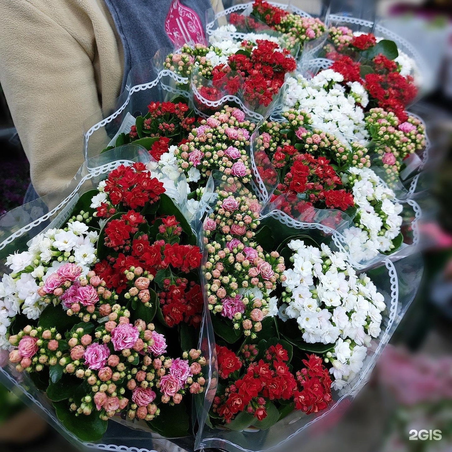 Купить Цветы В Ижевске Недорого