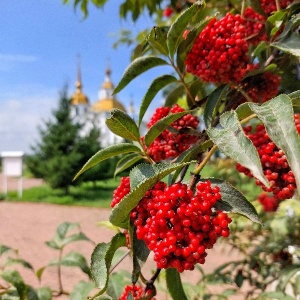 Фото от владельца Церковь Казанской иконы Божией Матери