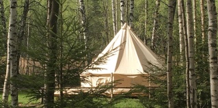 Сокольский городской округ: Глэмпинг Берег Грифона