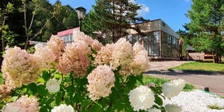 Красноярск: Коттедж Грин парк отель