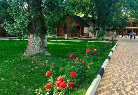 Турбаза Дубовая Роща в Волгоградской области