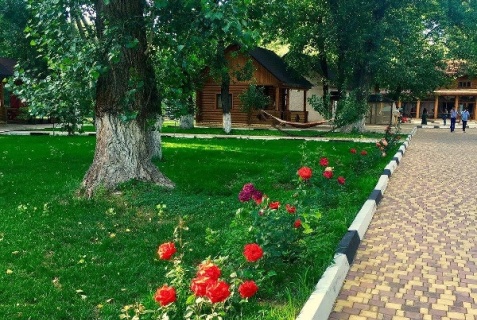 Среднеахтубинский район: Турбаза Дубовая Роща