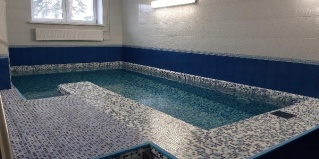 Домодедово: Отель Ёлочки