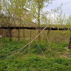 Фото от владельца Храм Преображения Господня