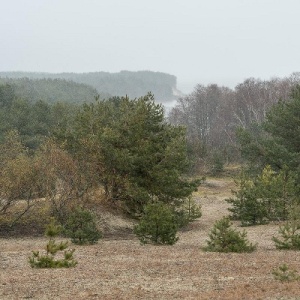 Фото от владельца Куршская коса, национальный парк