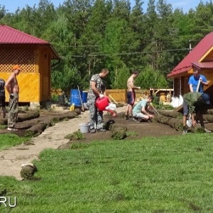 Фото от владельца Landy`s, студия ландшафтного дизайна