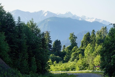 Даховская: Гостевой дом Ореховая роща