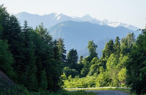 ст-ца Даховская: Гостевой дом Ореховая роща