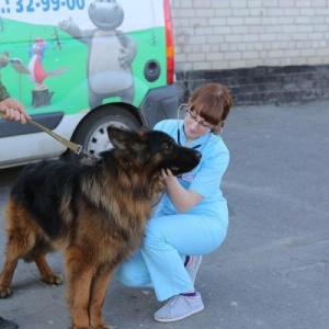 Фото от владельца Захаров и Фарафонтова, ветеринарная служба