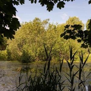 Фото от владельца Центральный парк культуры и отдыха