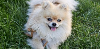 Конаев: Гостевой дом Malibu Guest House