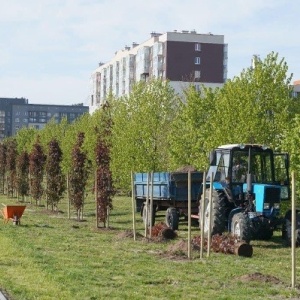 Фото от владельца Центральный парк культуры и отдыха