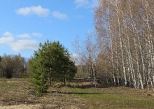 с. Кощаково: Глэмпинг Yurt resort