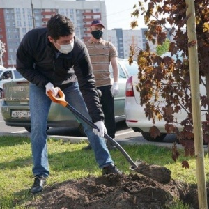 Фото от владельца Центральный парк культуры и отдыха