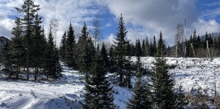 Шерегеш: Коттедж A-frame all_in_gesh