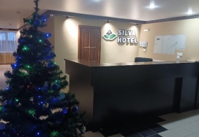 Отель Silva hotel в Кировской области